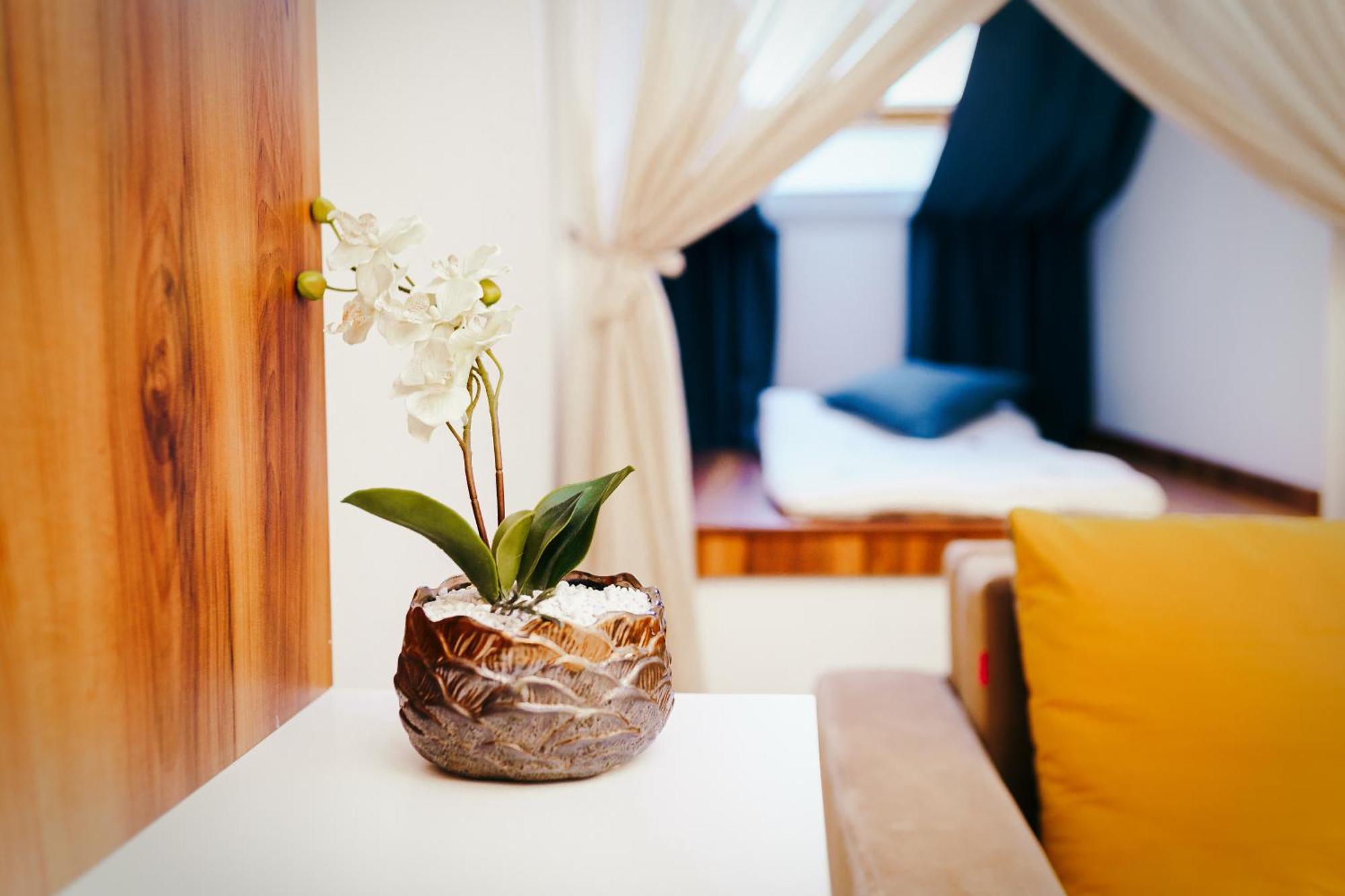 Vila Simonte Poiana Brasov Hotel Kültér fotó